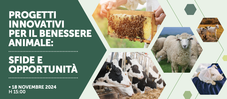 Progetti Innovativi per il Benessere Animale